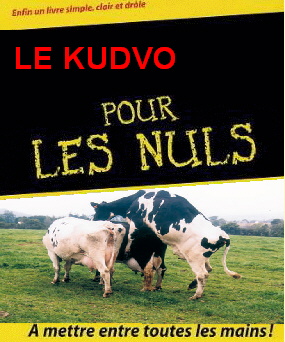 Là normalement y a une image
